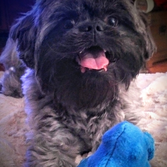 Meet your Posher, Candice - Picture 8 of 10